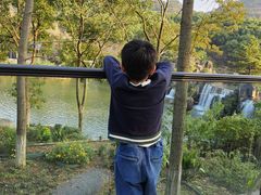 -白马涧龙池景区