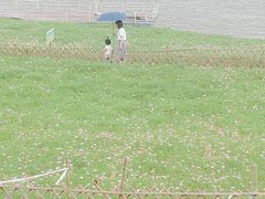 -木洞河街