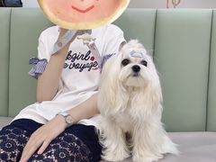 -艾贝尔宠物诊疗