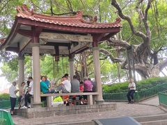 -古榕公园