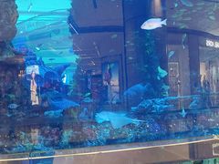 -观音桥步行街