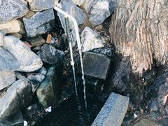 -阳台山自然风景区