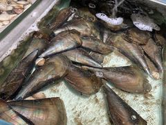 带子-盒马鲜生(岭南新世界店)