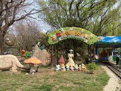 -朝阳公园游乐园