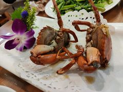 干煎膏蟹-友强·23年特色海鲜大排档(厦门店)