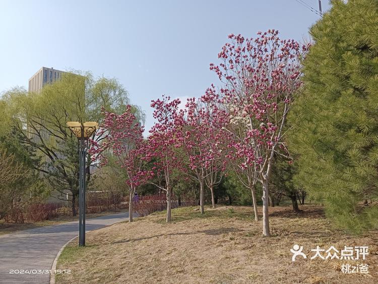 温榆河公园来广营园区