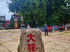 -大槐树寻根祭祖园