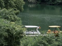 -原乡芦茨咖啡