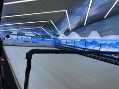 -Hopo Snow 城市滑雪空间(滨江宝龙城店)