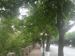 -大湾区中央湿地公园-十九涌