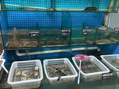 -兆辉木炭海鲜烧烤·海鲜小炒