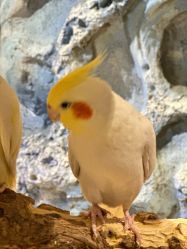 -Zoolung Zoolung动物主题公园(海信广场店)