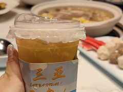 -龙泉人椰子鸡.糟粕醋.海南菜(三亚旗舰店)