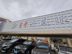 -6号丹凤眼镜行