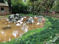 -昆明动物园