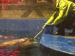 -梦幻海洋王国(吾悦广场张家港店)