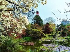 -北海道厅旧本厅舍(旧本庁舎)
