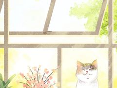 -南城香·饭香串香馄饨香(红军营店)