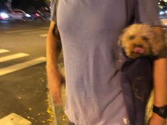 -三亚夏威夷大酒店