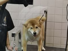 -FAELING PETS美天灵宠物(富力广场店)
