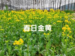 -南北湖风景区