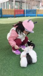 -萌宠亲子动物乐园(槐房万达店)