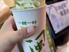 -一树一叶·福建茶档(石鼓路店)
