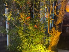 -功夫怪兽·烧烤(珠江路店)
