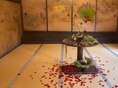 -醍醐寺
