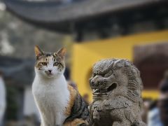 -西园戒幢律寺