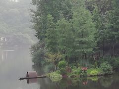 -重庆彩云湖湿地公园