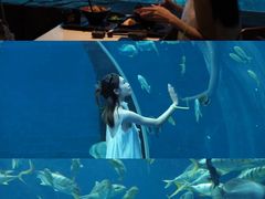 -波塞冬旅游度假区