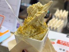 -野人先生现做冰淇淋(西安赛格店)
