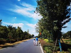 -茅山风味馆