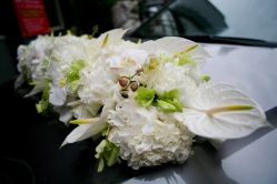 -红丝高端婚礼中心(旗舰店)