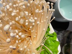 -额尔敦传统涮(公园西路店)