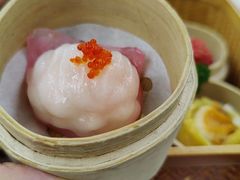 -广州都市观光巴士(粤陶巴)