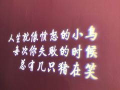 -成都失恋馆