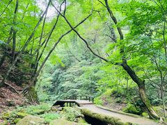 -五女峰国家森林公园