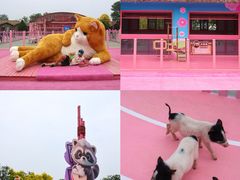 -渔岛海洋度假区