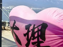 -野菌皇海景野生菌火锅(滨海大道店)