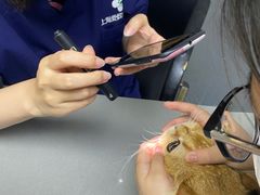 -爱侣宠医·鹦鹉专科·小型哺乳类·异宠专科(灵石路店)