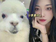 -Blue Concept Cafe&Farm·關於藍