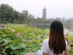 -西海子公园
