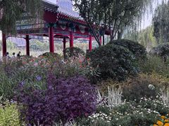 -西海子公园