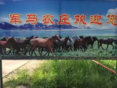 -山丹皇家马场