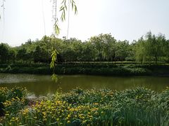 -西安汉城湖景区