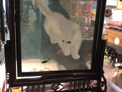 -卢福英苏绣制作中心(苏州平江历史文化街区店)