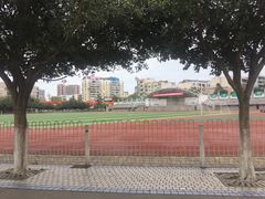 -德阳五中