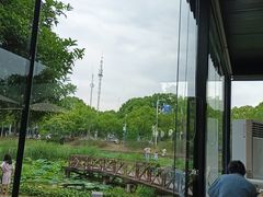 -美兰湖景区